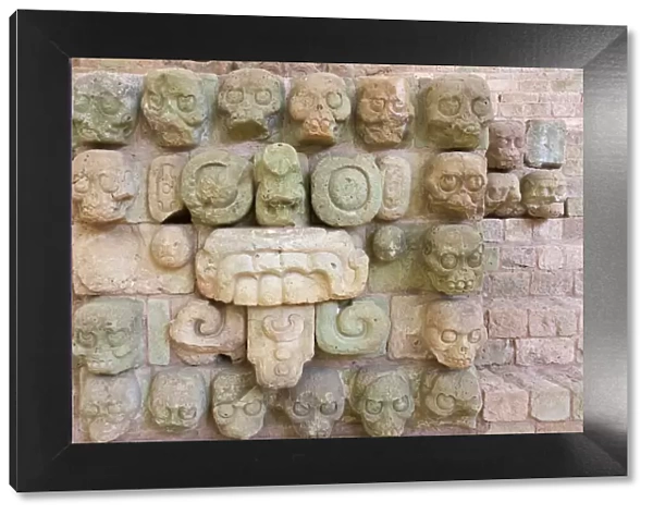 Carving at Copan Ruins, Maya Site of Copan, UNESCO World Heritage site, Honduras