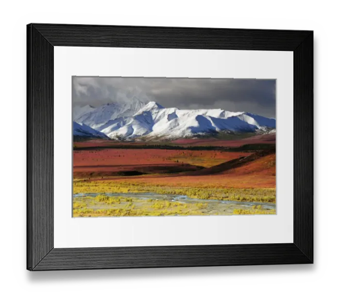 Framed Print : Alaska Range; Autumn; Taiga; Denali National Park; Alaska; USA Framed Print : Alaska Range; Autumn; Taiga; Denali National Park; Alaska; USA