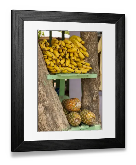 Framed Print : Central America, Honduras, Roatan, West End Village, fruit, bananas and pineapple Framed Print : Central America, Honduras, Roatan, West End Village, fruit, bananas and pineapple