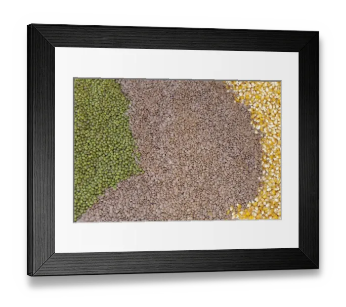 Framed Print : South America, Mexico, Tecate. Display of grains at Rancho La Puerta