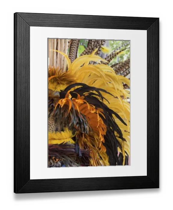 Framed Print : South America, Mexico, San Miguel de Allende. Close-up of colorful Aztec headdress Framed Print : South America, Mexico, San Miguel de Allende. Close-up of colorful Aztec headdress