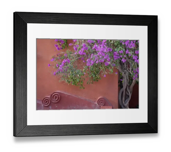 Framed Print : South America, Mexico, San Miguel de Allende. Bouganvilla tree next to wall. Credit as Framed Print : South America, Mexico, San Miguel de Allende. Bouganvilla tree next to wall. Credit as