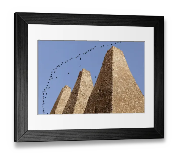 Framed Print : South America, Mexico, Mineral de Pozos. Flock of birds flying over ruins of Santa