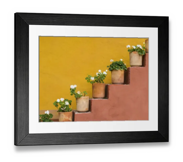 Framed Print : Mexico, San Miguel de Allende. Potted flowers on staircase Framed Print : Mexico, San Miguel de Allende. Potted flowers on staircase