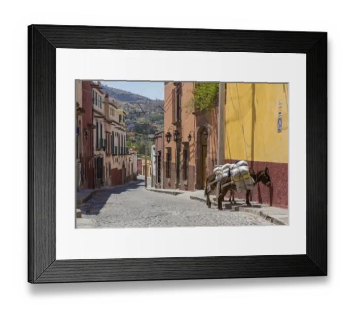 Framed Print : Mexico, San Miguel de Allende. Two laden donkeys on sidewalk Framed Print : Mexico, San Miguel de Allende. Two laden donkeys on sidewalk