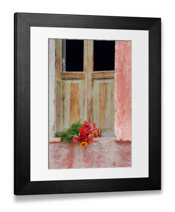 Framed Print : Mexico, San Miguel de Allende. Zinnias outside window frame