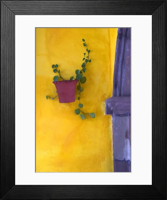 Framed Print : Mexico, San Miguel de Allende. Planted pot on wall Framed Print : Mexico, San Miguel de Allende. Planted pot on wall