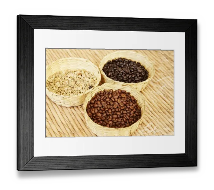 Framed Print : Mexico, Sierra Madre Mountains. Baskets of plantation coffee beans in stages of roasting Framed Print : Mexico, Sierra Madre Mountains. Baskets of plantation coffee beans in stages of roasting
