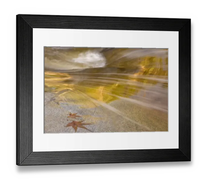 Framed Print : USA, Arizona, Tucson, Catalina State Park. FMaple leaves next to flowing water in the Romero Pools
