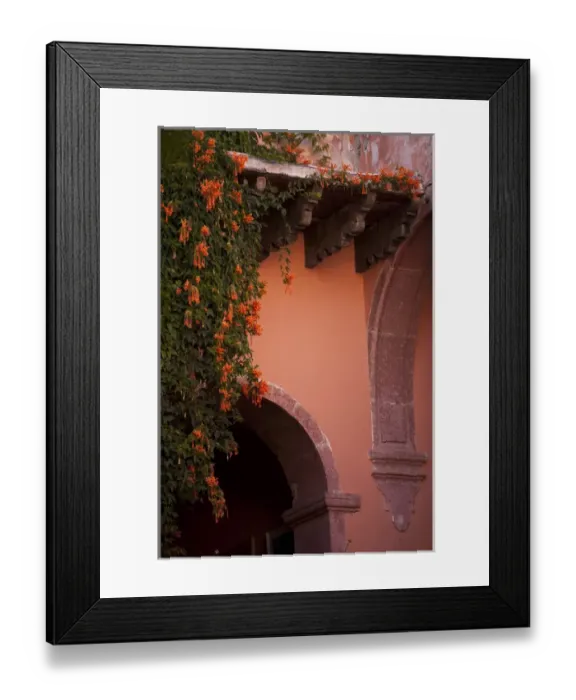 Framed Print : North America, Mexico, San Miguel de Allende, stone artch in courtyard and vine with orange flowers Framed Print : North America, Mexico, San Miguel de Allende, stone artch in courtyard and vine with orange flowers