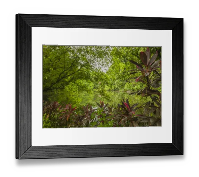 Framed Print : Central America, Costa Rica, Sarapiqui River Valley. Rain forest and pond scenic Framed Print : Central America, Costa Rica, Sarapiqui River Valley. Rain forest and pond scenic