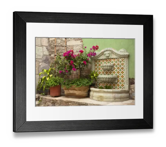 Framed Print : North America, Mexico, Guanajuato State, Guanajuato, plants, bouganvilla flowers Framed Print : North America, Mexico, Guanajuato State, Guanajuato, plants, bouganvilla flowers
