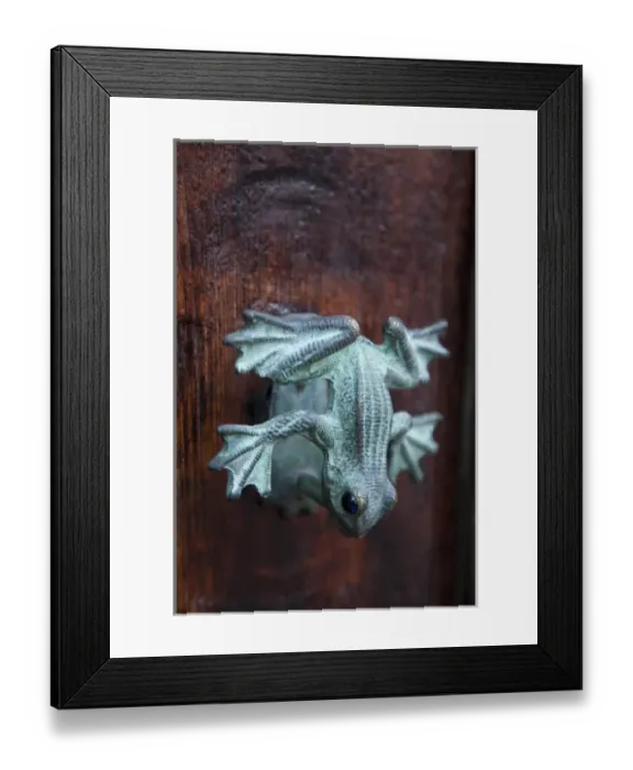Framed Print : North America, Mexico, San Miguel de Allende, frog doorknob on old wood door Framed Print : North America, Mexico, San Miguel de Allende, frog doorknob on old wood door