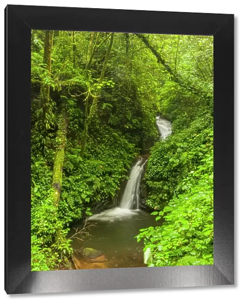 Central America, Costa Rica. Monteverde waterfall