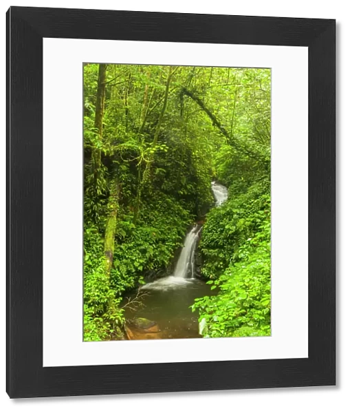 Central America, Costa Rica. Monteverde waterfall