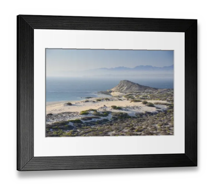 Framed Print : Isla de Espiritu Santo, Baja, Mexico, Punta Lobos and Sea of Cortez in morning mist