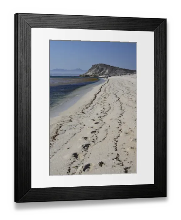 Framed Print : Isla de Espiritu Santo, Baja, Mexico, Ecotourists explore the pristine beaches of Framed Print : Isla de Espiritu Santo, Baja, Mexico, Ecotourists explore the pristine beaches of
