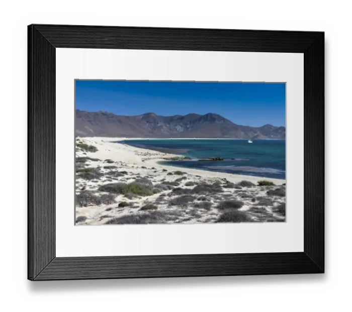 Framed Print : Isla de Espiritu Santo, Baja, Mexico, Pristine crescent beaches of Isla de Espiritu