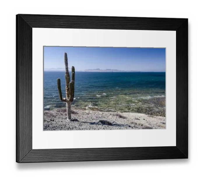 Framed Print : Isla de Espiritu Santo, Baja, Mexico, Cardon cactus and the breaking waters of Isla Framed Print : Isla de Espiritu Santo, Baja, Mexico, Cardon cactus and the breaking waters of Isla