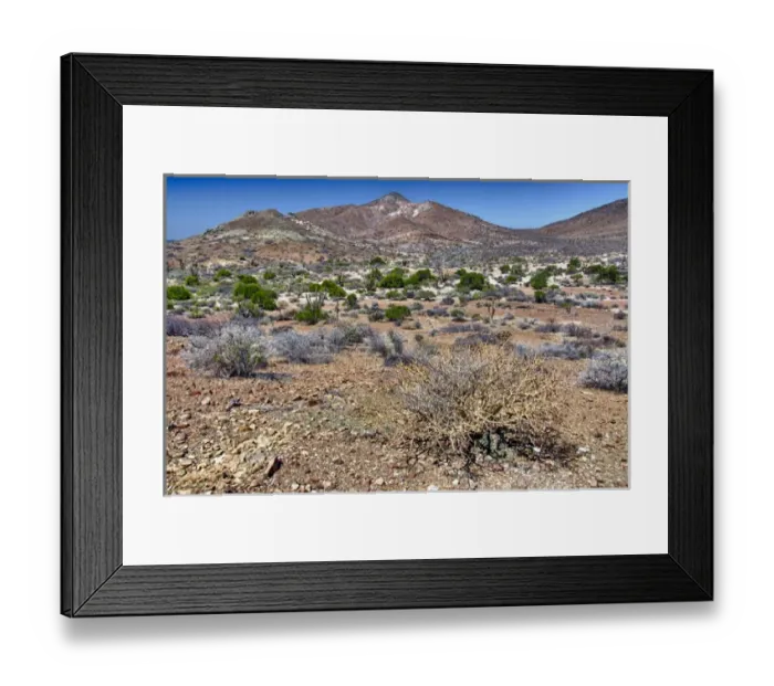 Framed Print : Isla de Espiritu Santo, Baja, Mexico, The desert landscape of Isla de Espiritu Santo