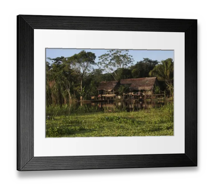 Framed Print : River scenes along the Amazon River in Peru Framed Print : River scenes along the Amazon River in Peru