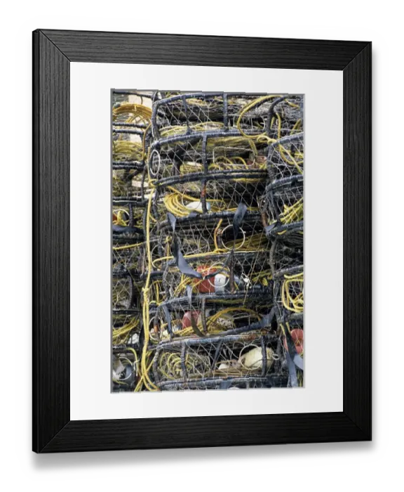 Framed Print : USA, Alaska, Wrangell, Crab Pots Framed Print : USA, Alaska, Wrangell, Crab Pots