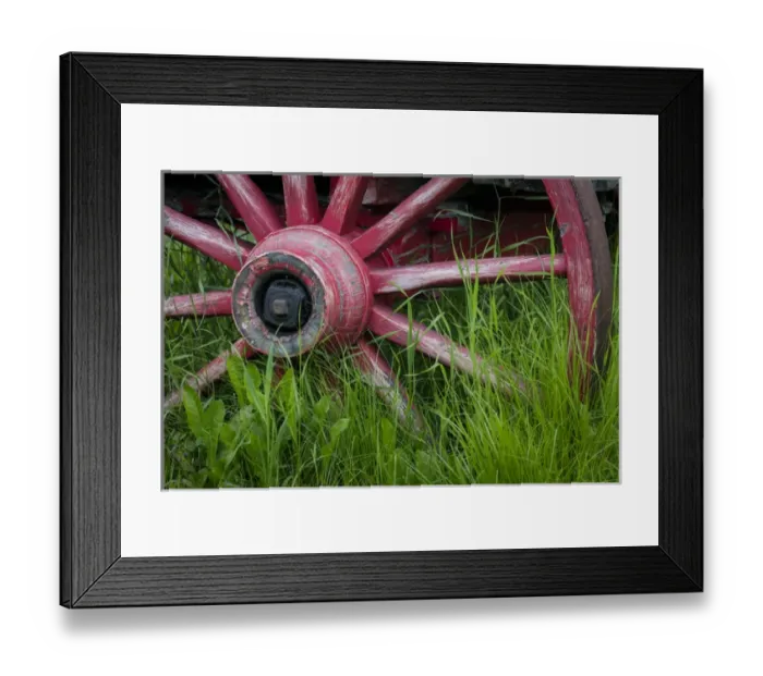 Framed Print : USA, Alaska, Chena Hot Springs. Vintage wagon wheel and grass Framed Print : USA, Alaska, Chena Hot Springs. Vintage wagon wheel and grass