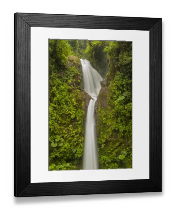 Framed Print : Central America, Costa Rica, Monteverde Cloud Forest Biological Reserve. La Paz Waterfall scenic Framed Print : Central America, Costa Rica, Monteverde Cloud Forest Biological Reserve. La Paz Waterfall scenic