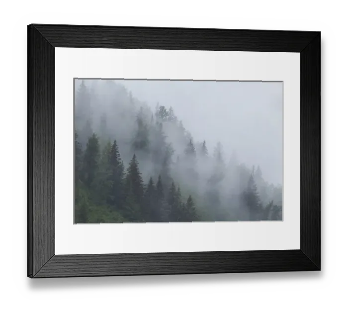Framed Print : Alaska, Glacier Bay National Park. Fog shrouds trees on steep slopes in the Tongass Framed Print : Alaska, Glacier Bay National Park. Fog shrouds trees on steep slopes in the Tongass