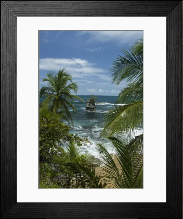 Framed Print : Central America, Centro America, Latin America, Latin, tropical, Costa Rica, Puerto Viejo Framed Print : Central America, Centro America, Latin America, Latin, tropical, Costa Rica, Puerto Viejo