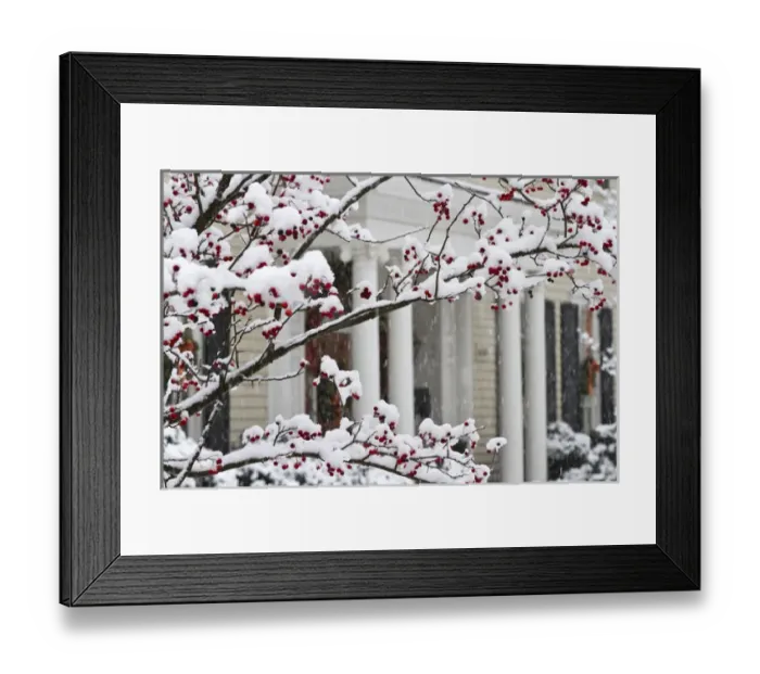 Framed Print : Historic Twickenham district and a rare Christmas snow, Huntsville, Alabama Framed Print : Historic Twickenham district and a rare Christmas snow, Huntsville, Alabama