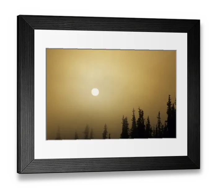 Framed Print : USA, Alaska, Fog, Sunrise, Winter, Denali National Park Framed Print : USA, Alaska, Fog, Sunrise, Winter, Denali National Park