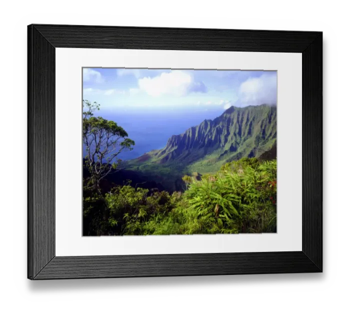 Framed Print : USA, Kauai, Hawaii. View above the Na Pali Coast Framed Print : USA, Kauai, Hawaii. View above the Na Pali Coast