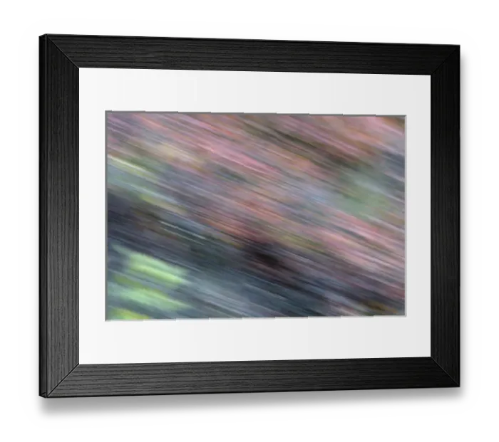 Framed Print : USA, Alaska, Denali National Park. Colorful abstract blur of autumn tundra spruce trees