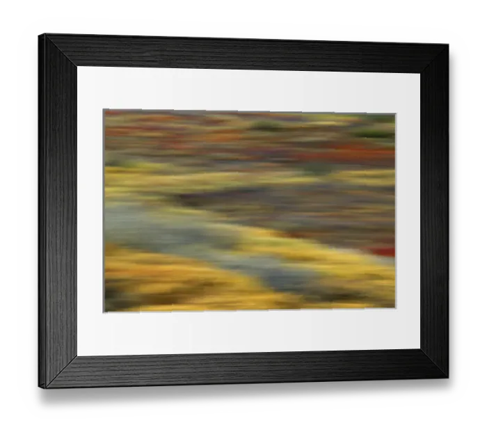 Framed Print : USA, Alaska, Denali National Park. Colorful abstract blur of autumn tundra colors Framed Print : USA, Alaska, Denali National Park. Colorful abstract blur of autumn tundra colors