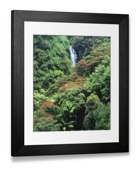Framed Print : USA, Hawaii, Waterfall in a tropical rain forest Framed Print : USA, Hawaii, Waterfall in a tropical rain forest