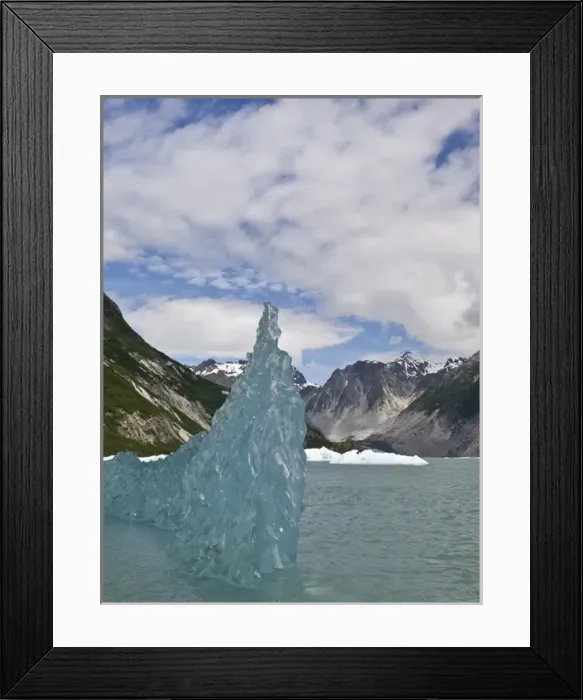 Framed Print : USA, Alaska, Glacier Bay National Park. Floating iceberg from the McBride Glacier Framed Print : USA, Alaska, Glacier Bay National Park. Floating iceberg from the McBride Glacier