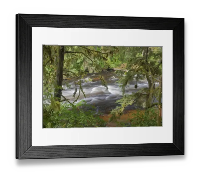 Framed Print : USA, Alaska, Anan Creek. Scenic of creek between cypress trees Framed Print : USA, Alaska, Anan Creek. Scenic of creek between cypress trees