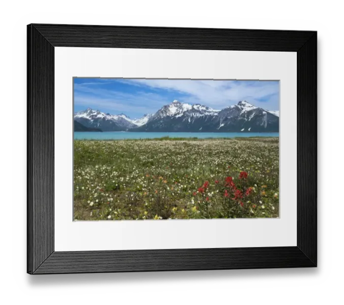 Framed Print : USA, Alaska, Glacier Bay National Park. Scenic of wild strawberry and red paintbrush flowers Framed Print : USA, Alaska, Glacier Bay National Park. Scenic of wild strawberry and red paintbrush flowers