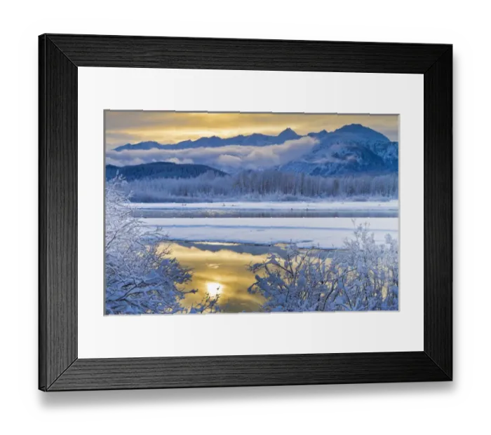 Framed Print : USA, Alaska, Chilkat Bald Eagle Preserve. Snowy scenery along the Chilkat River. Credit as Framed Print : USA, Alaska, Chilkat Bald Eagle Preserve. Snowy scenery along the Chilkat River. Credit as