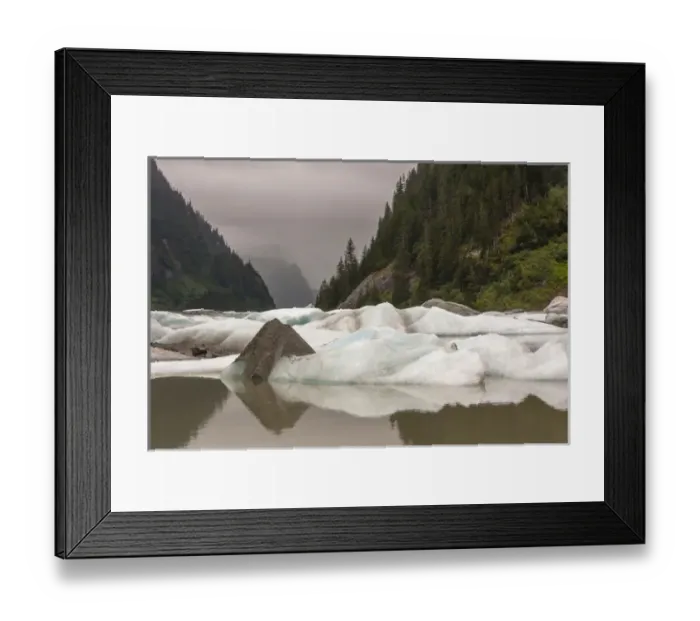 Framed Print : USA, Alaska, Tongass National Forest. Icebergs in Shakes Lake