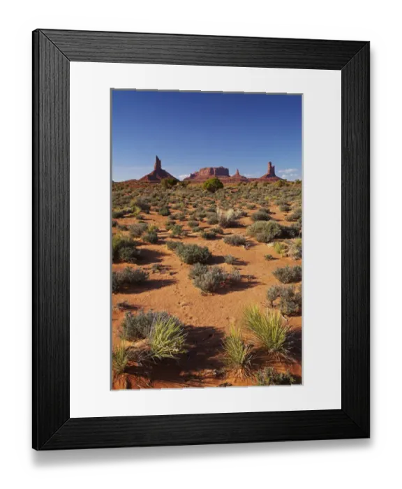 Framed Print : United States, Utah  /  Arizona Border, Navajo Nation, Monument Valley, Big Indian, Brighamas Tomb