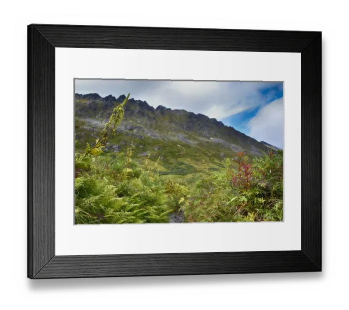 Framed Print : USA, Alaska, Hatchers Pass