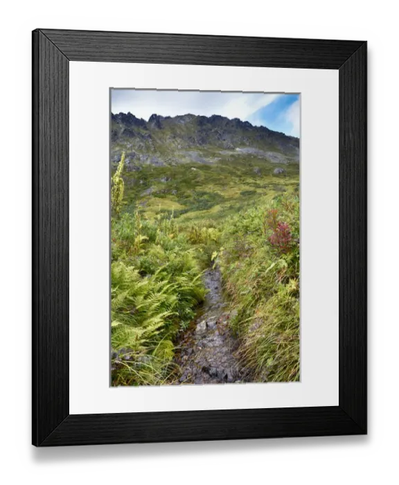 Framed Print : USA, Alaska, Hatchers Pass