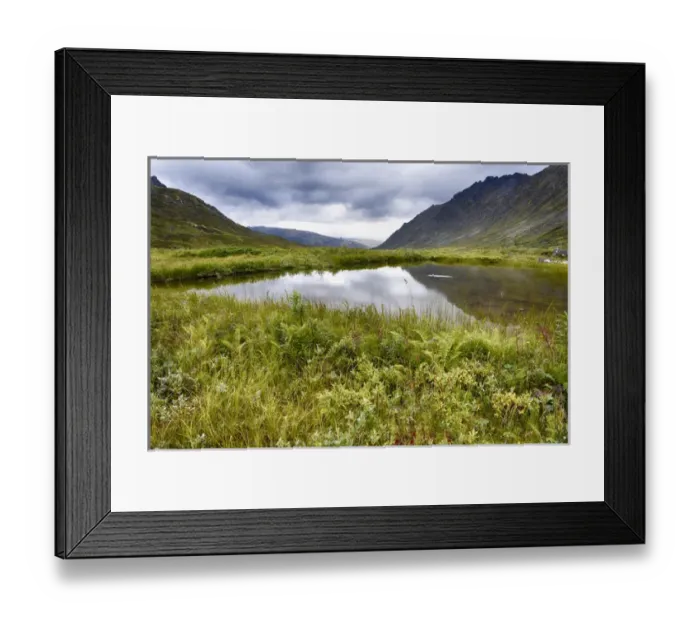 Framed Print : USA, Alaska, Hatchers Pass