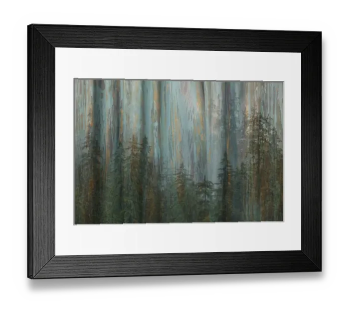 Framed Print : USA, Alaska, Misty Fiords National Monument. Collage abstract of trees and forest Framed Print : USA, Alaska, Misty Fiords National Monument. Collage abstract of trees and forest