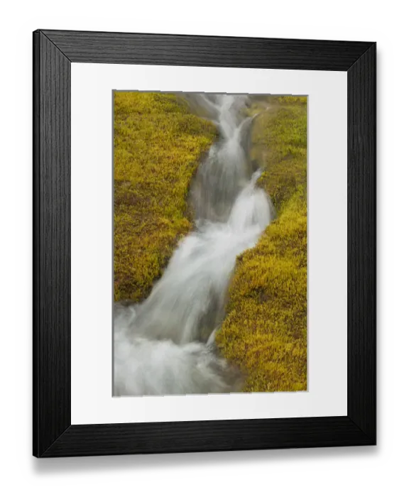 Framed Print : USA, Alaska, Glacier Bay National Park. Small stream cascade amid moss. Credit as Framed Print : USA, Alaska, Glacier Bay National Park. Small stream cascade amid moss. Credit as