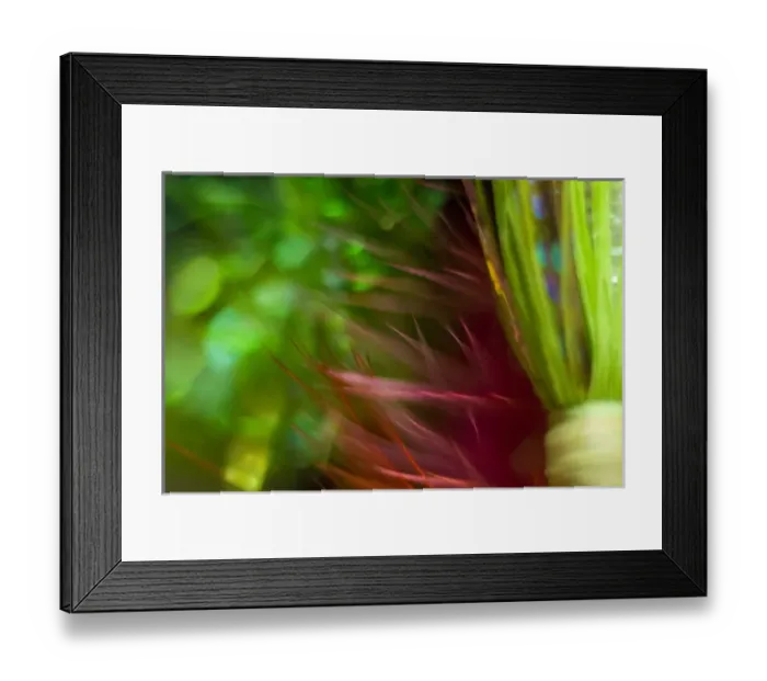 Framed Print : Alaska, Lake Clark National Park, Silver Salmon Creek Lodge. Abstract details of fishing flies Framed Print : Alaska, Lake Clark National Park, Silver Salmon Creek Lodge. Abstract details of fishing flies