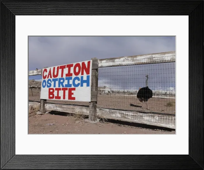 Framed Print : Holbrook, Arizona, United States. Route 66. Stewarts Rock Shop Framed Print : Holbrook, Arizona, United States. Route 66. Stewarts Rock Shop