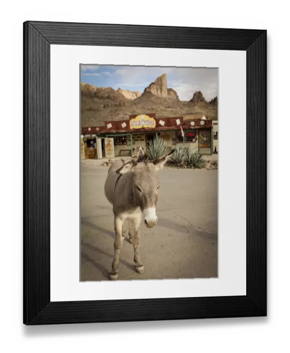 Framed Print : Oatman, Arizona, United States. Route 66